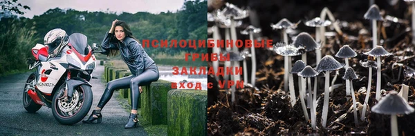 мяу мяу кристалл Осинники
